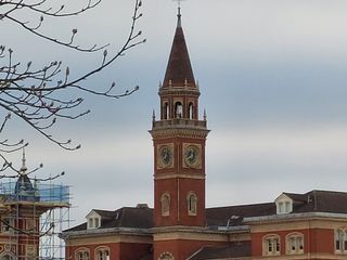 „Samsung Galaxy A52 5G“ fotoaparatų pavyzdžiai