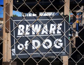 Dog thieves warning