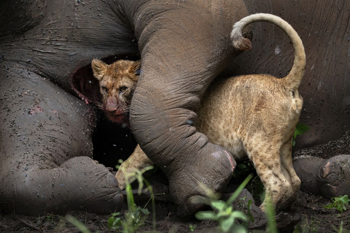 Travel Photographer of the Year awards are open for entries – whatever your age or ability