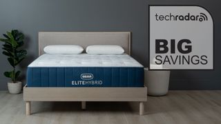 Bear Elite Hybrid mattress with Big savings graphic overlaid