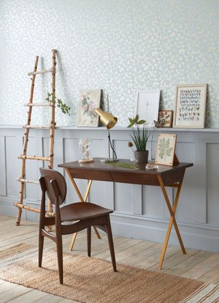 desk with blue wallpaper and botanical displays