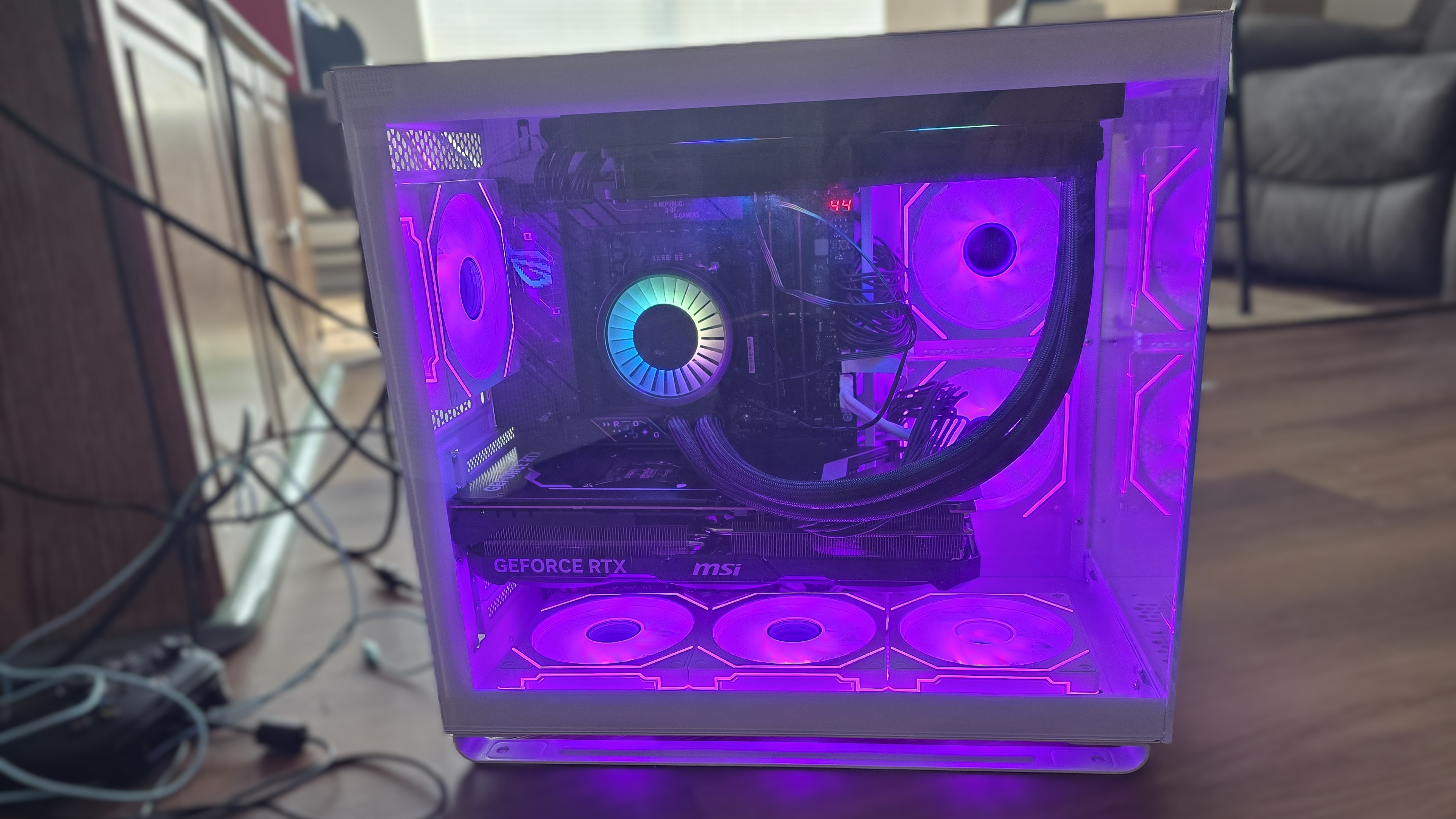 Ocypus Iota C7