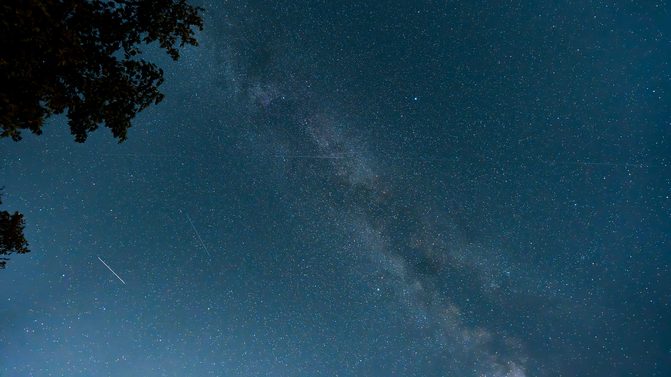 The galactic core of the Milky Way streaking diagonally across the night sky with a tree in the upper left corner.