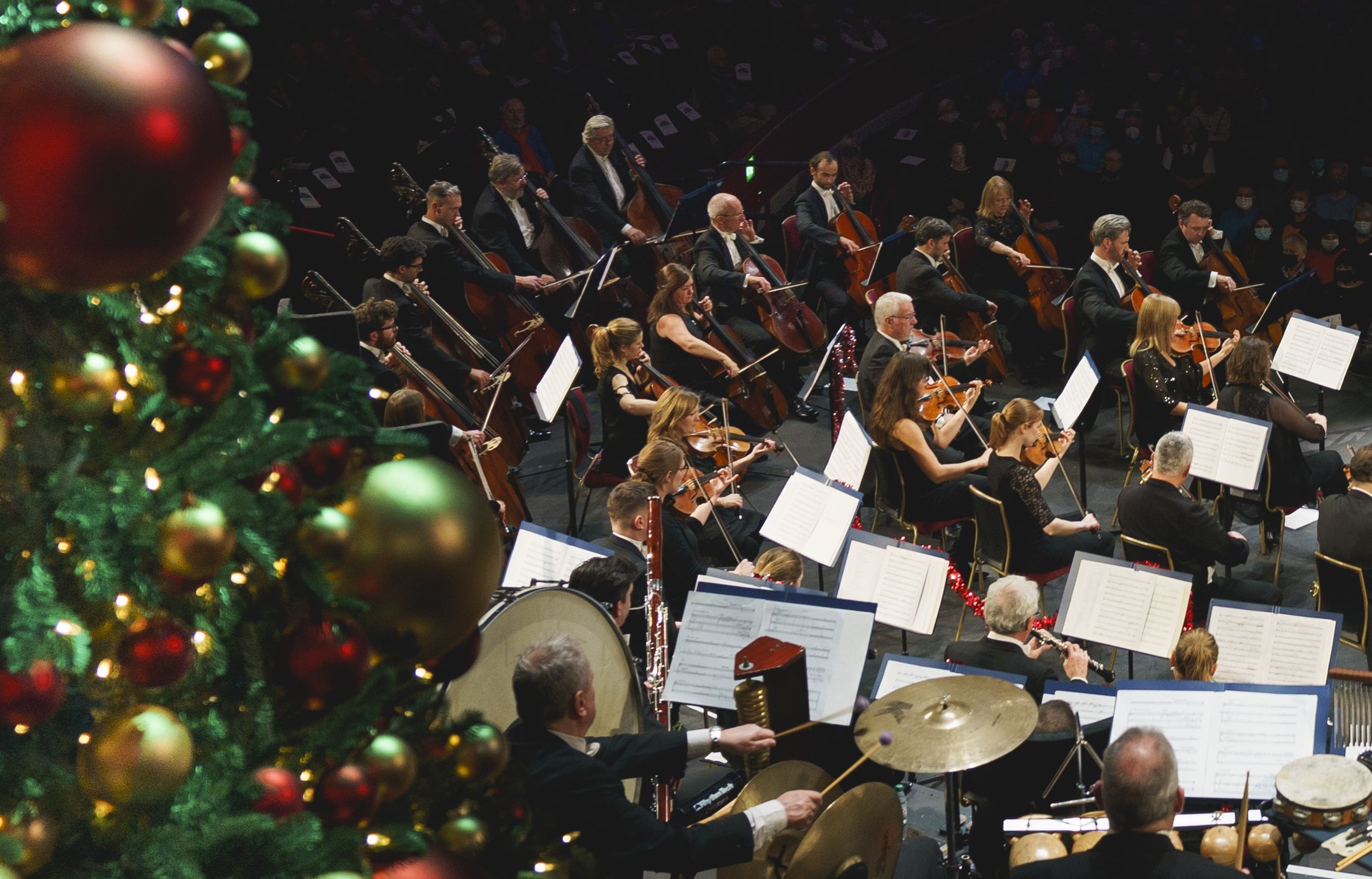An orchestra performing on a stage tucked beyond a Christmas tree.