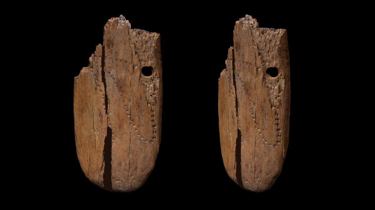 41,500-year-old ivory pendant could be oldest human-decorated jewellery in Eurasia