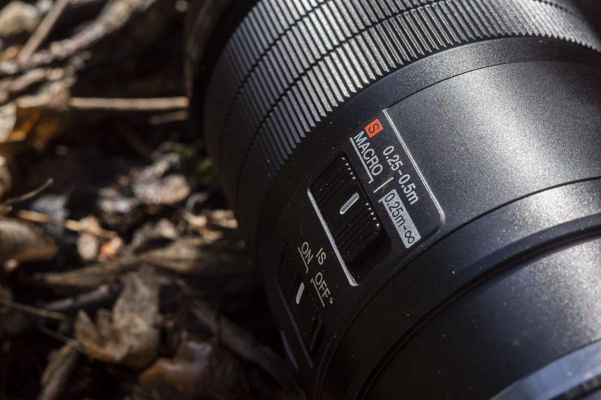 OM System 90mm F3.5 Macro IS PRO review macro photography magic