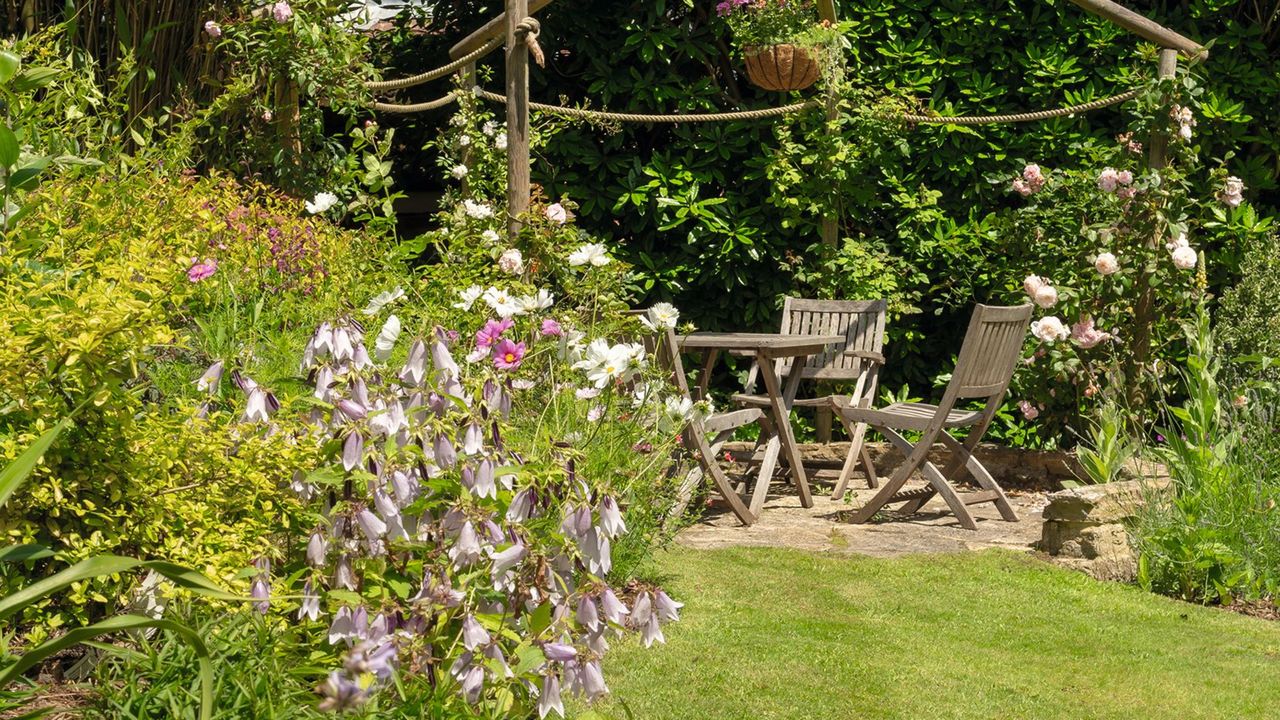 Back garden lawn with surrounding plants and flowers leading to outdoor seating area on patio