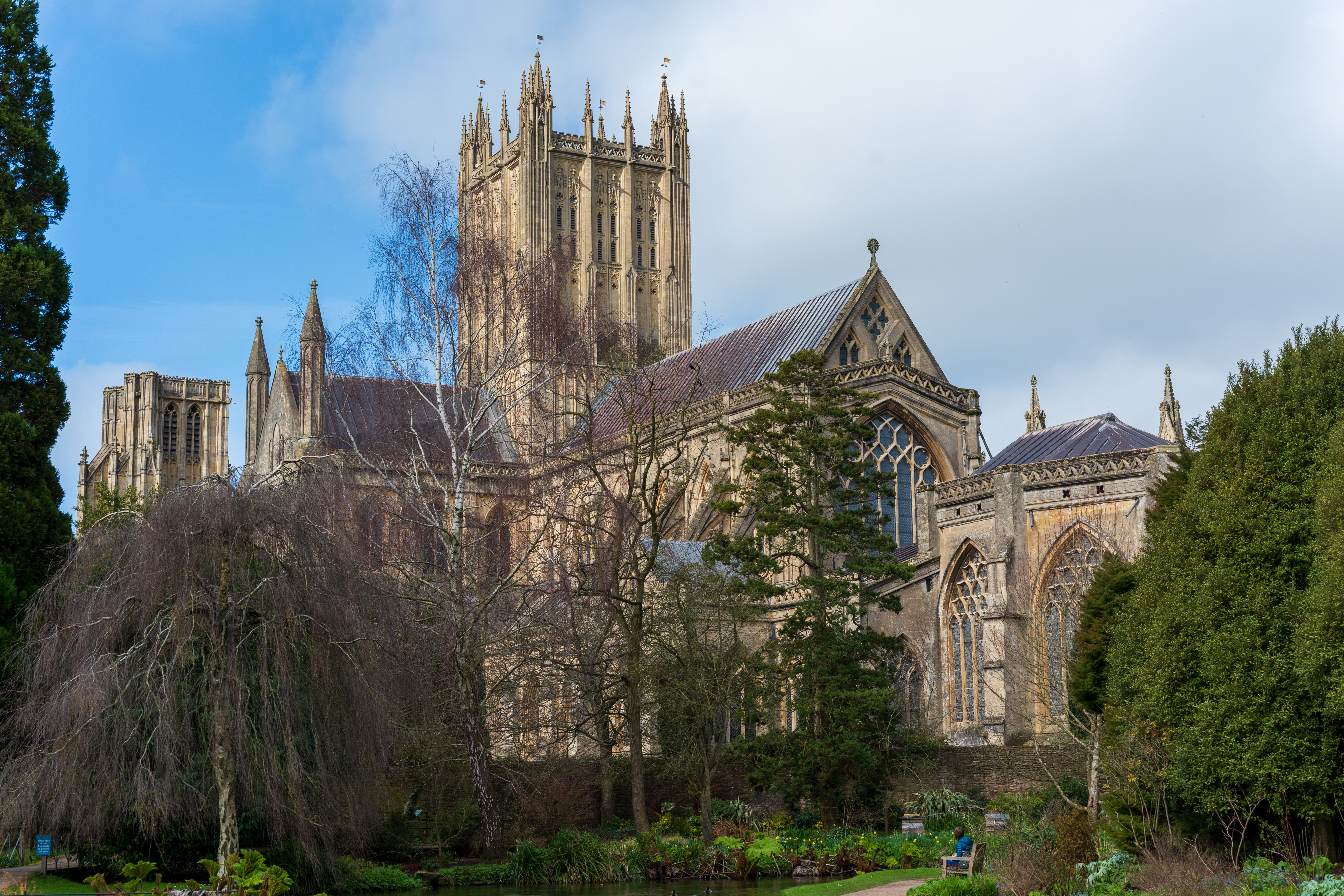 Viltrox AF 55mm f/1.8 Evo sample image