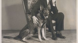 Buddy, a pioneer for guide dogs