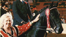 EHS-cropped.png