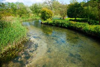 Clear water of meandering River Kennet chalk stream at Axford, Wiltshire, England