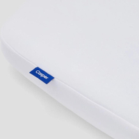 Foam Pillow with Snow Technology™$139$125.10 at Casper