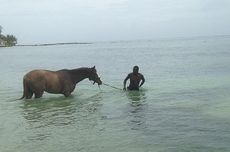Jamaica.jpg