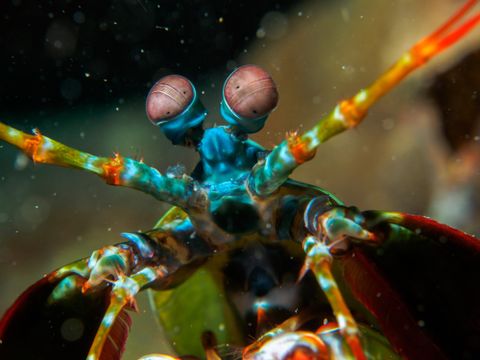 Under the sea: 50 breathtaking images from our oceans | Live Science