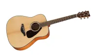 Yamaha FG800: In stock at Walmart!