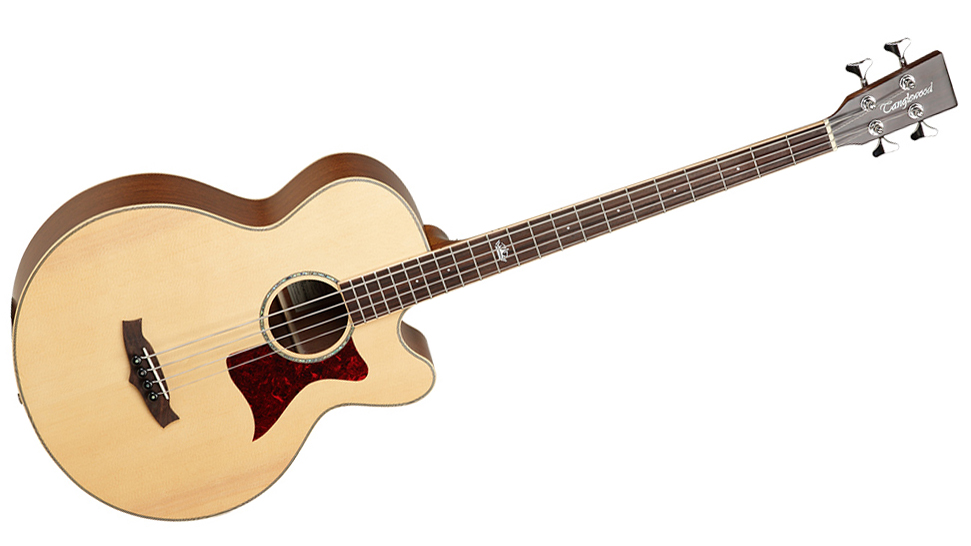 6. Tanglewood TW155 (£499)