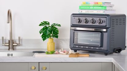 Cuisinart Air Fryer Toaster Oven in grey kitchen near sink and artificial houseplant