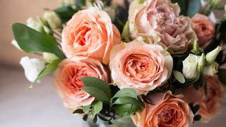 Peach roses arranged in a vase indoors