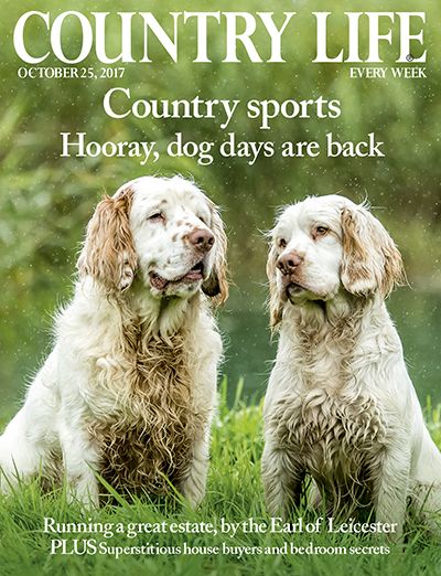 Country Life October 25 2017