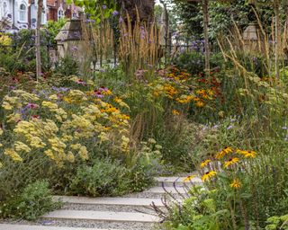 A stepping plank and gravel path with wildflower style planting