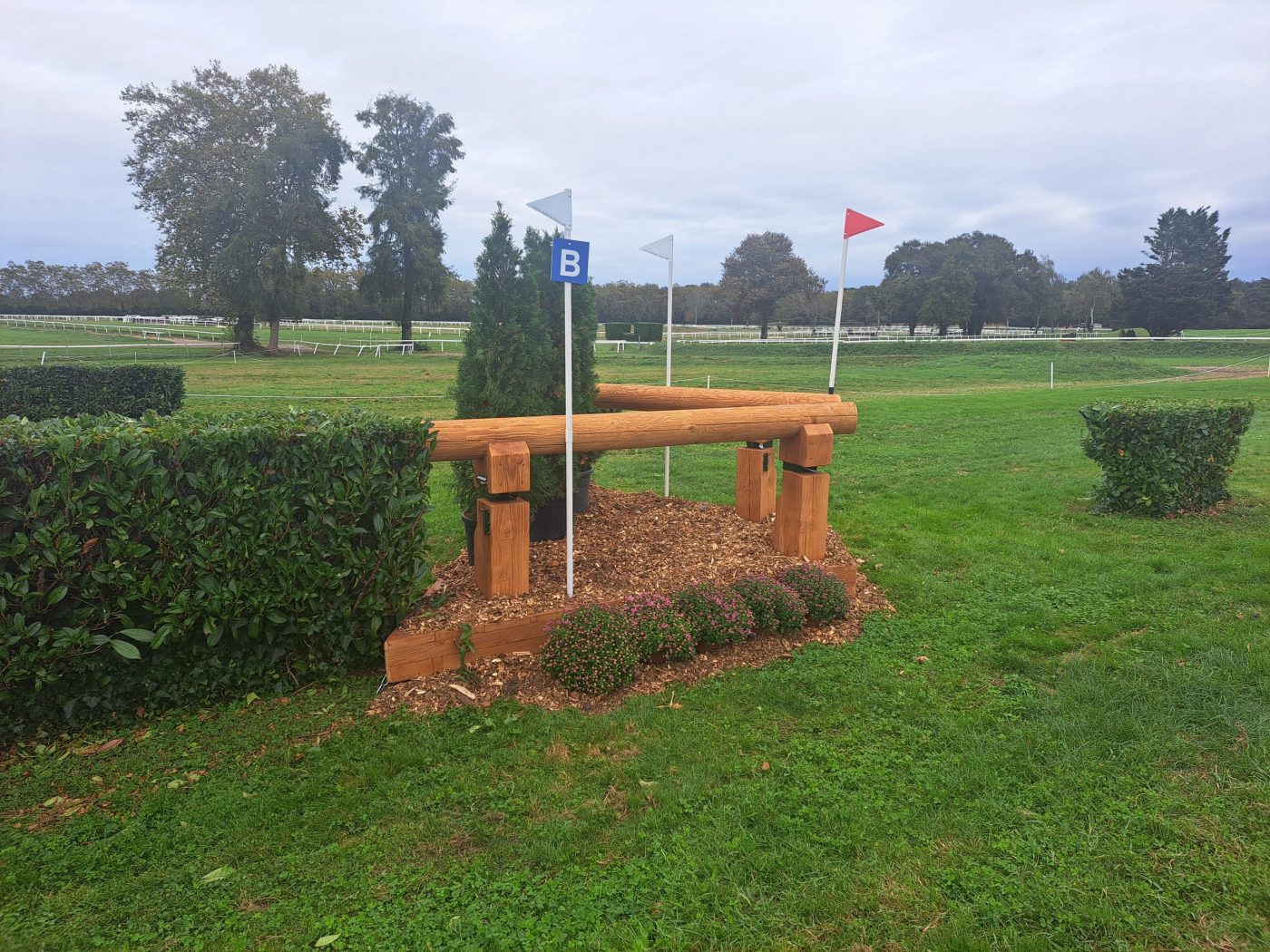 Fence-13b-scaled-e1698260230201.jpg