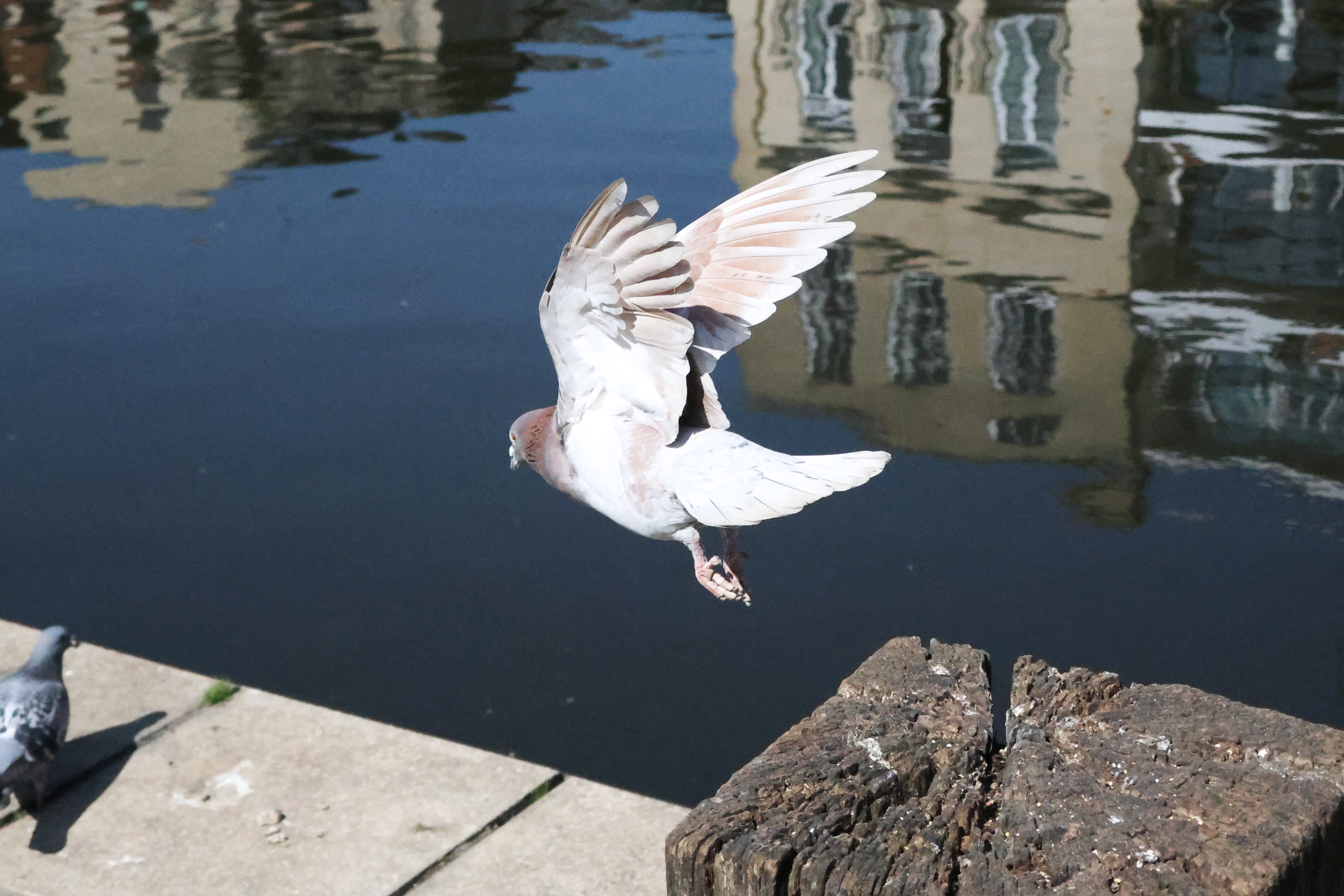 A photo taken on a Canon PowerShot V1 compact vlogging camera