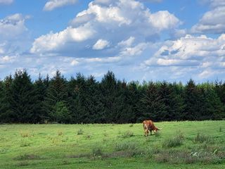 Samsung Galaxy Z Fold 3 camera samples