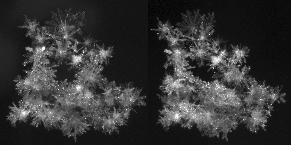 Snowflakes in stereo