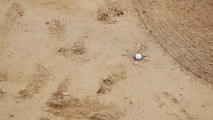 Golf ball in animal print in bunker