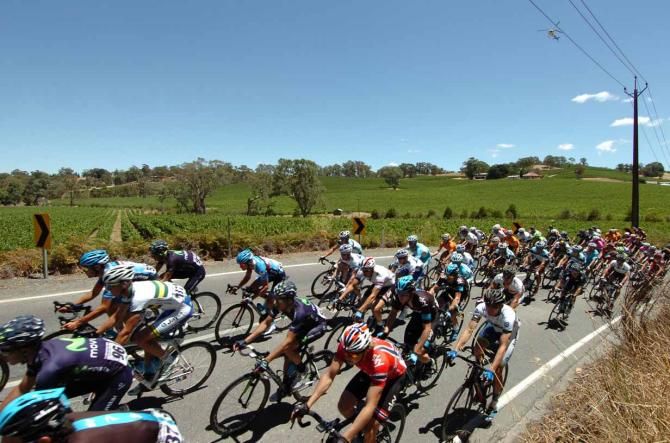 The Tour Down Under peloton.