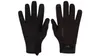 Sealskinz waterproof all-weather glove