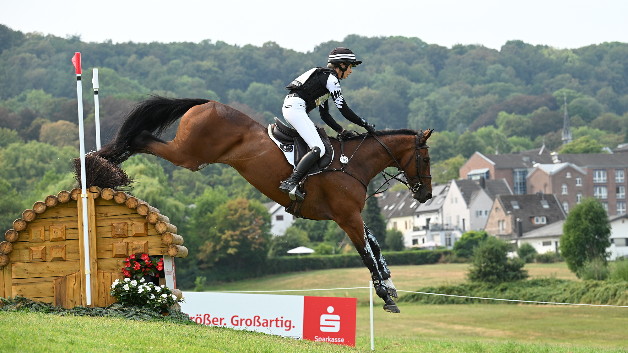 New Zealand event rider Monica Spencer and Artist clear a downhill rolltop fence at the 2026 eventing World Championships in Aachen, Germany