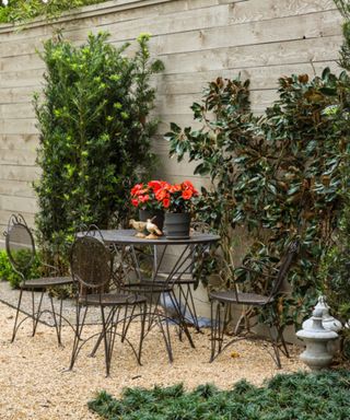 Backyard with metal bistro table and chair set, gravel, vertical planting up the wall