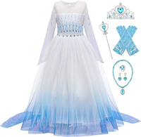Princess Elsa Long Sleeve Costume and Accessories from Amazon - £2,599