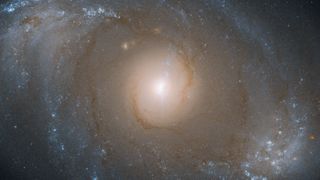 The spiral galaxy NGC 4151 with a supermassive black hole in its center