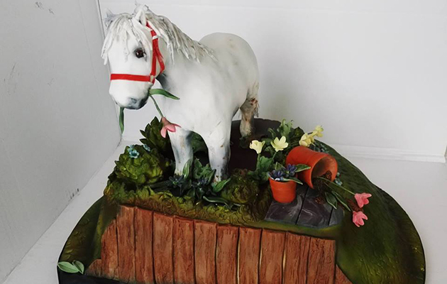 &amp;ldquo;This pony cake was for a 30th birthday, depicting Percy Puddle, a Shetland who was rescued from Ireland last year. He regularly disappears from his paddock and magically appears in our front garden!&amp;rdquo; &amp;mdash; Ellis Simister, who commissioned the cake to be created by Emily McGregor from Happy Hill Cakes for her sister