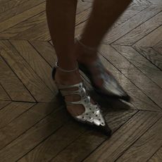 silver pointed shoe