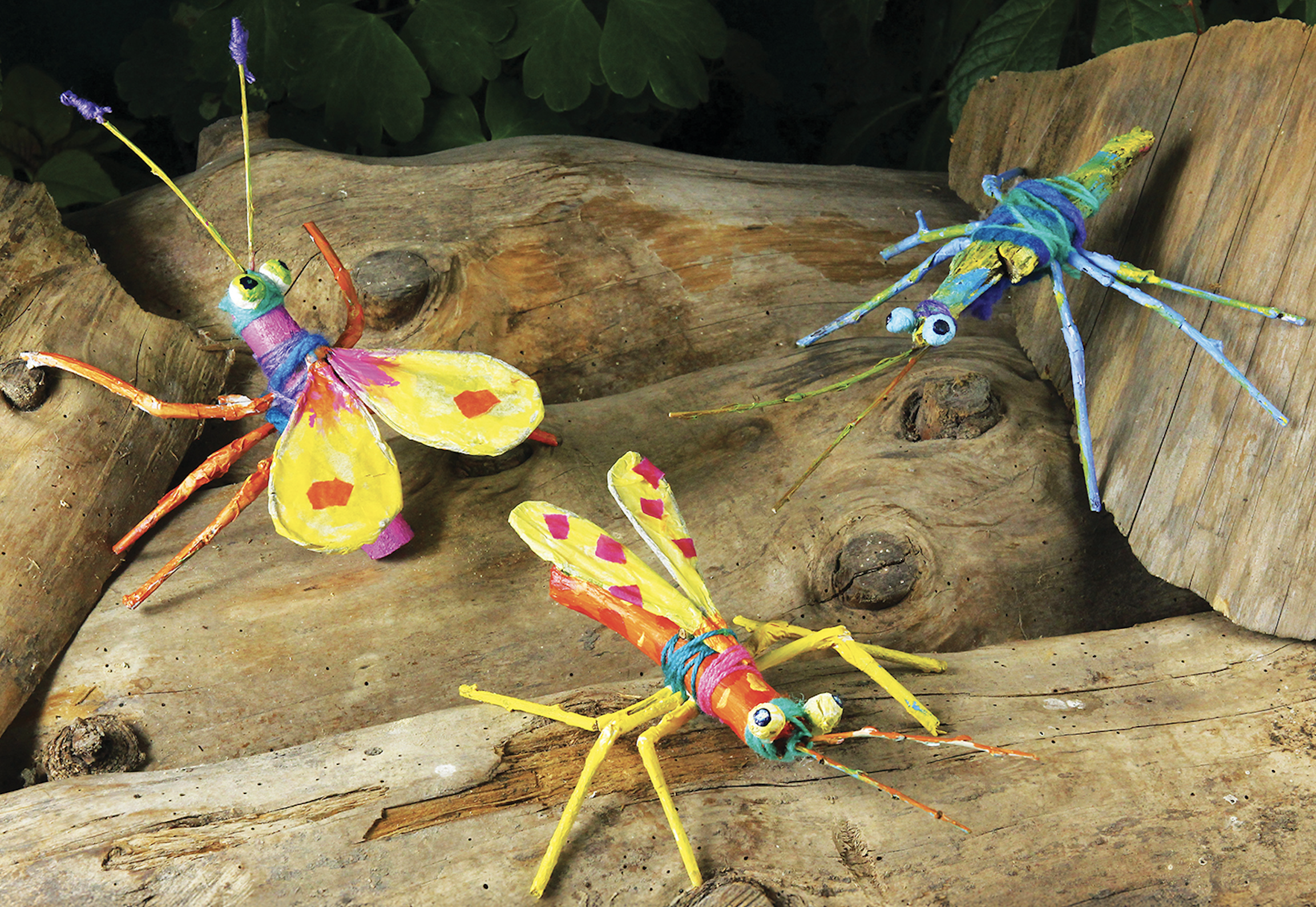 stick insects