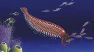 Ecological reconstruction of Kylinxia zhangi, in its marine environment during the Cambrian era. 