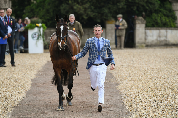 &amp;lt;p&amp;gt;Ciaran Glynn (IRL) riding November Night during the First horse Inspection at the Mitsubishi Motors Badminton Horse Trails between 1st &amp;ndash; 5th May 2019 on the Badminton Estate near Bristol in Gloucestershire in the UK on 30th April 2019&amp;lt;/p&amp;gt; Badminton trot-up fashion