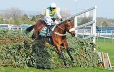 Ballabriggs-1604414.jpg