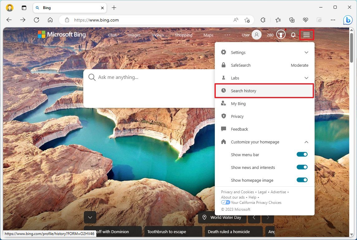 Bing Search history