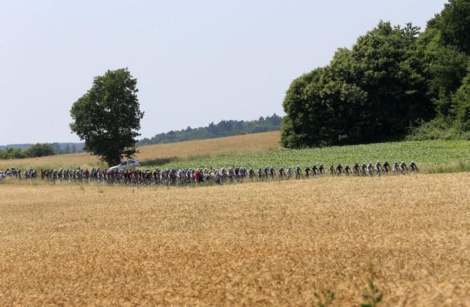 The Tour de France passed through rural farmland on stage 12