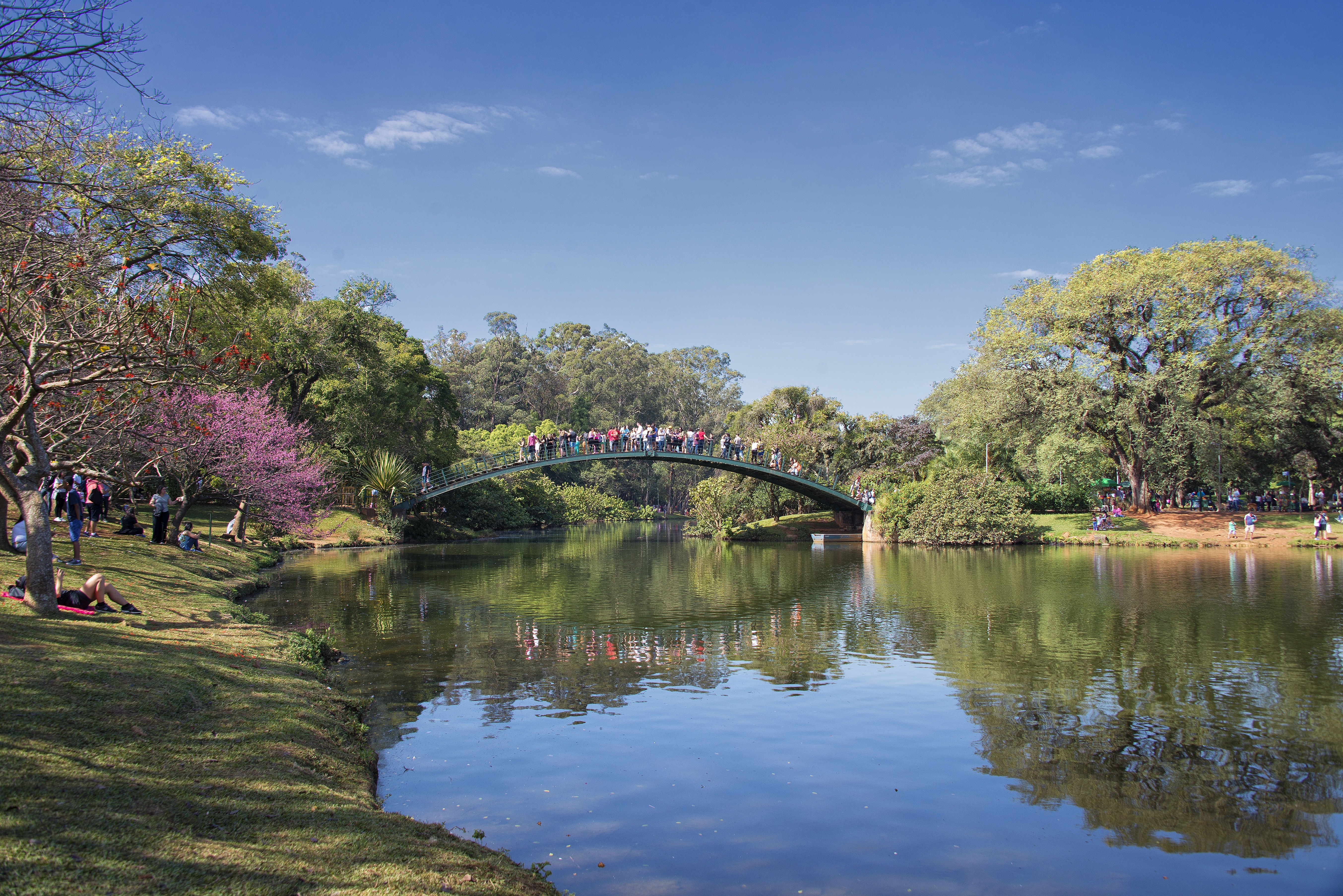 A sunny day at Ibirapuera Park sees people walk over a bridge immersed in nature.