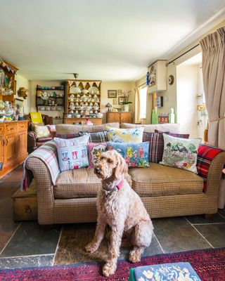 Flint cottage sitting room with dog