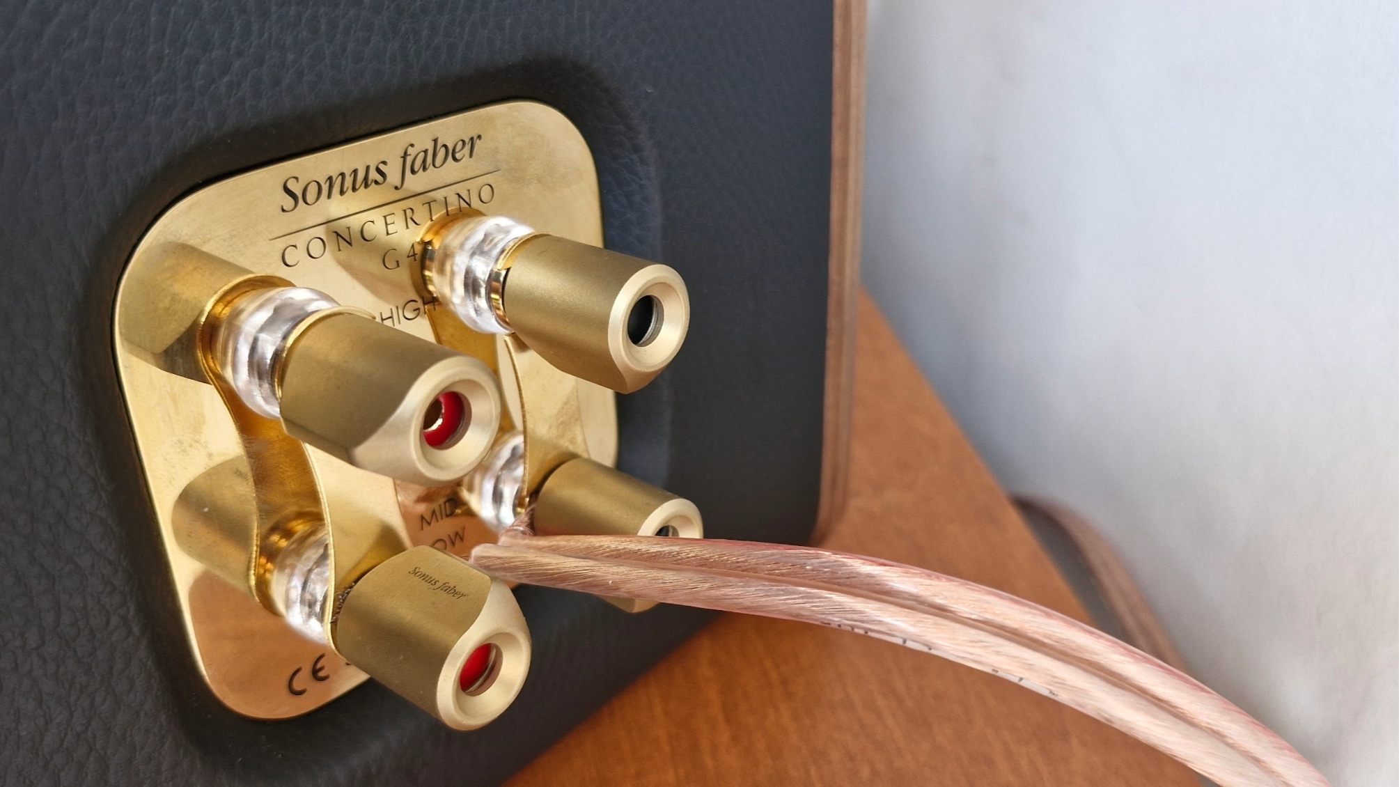 Rear wiring options of the Sonus Faber Concertino G4 bookshelf speakers