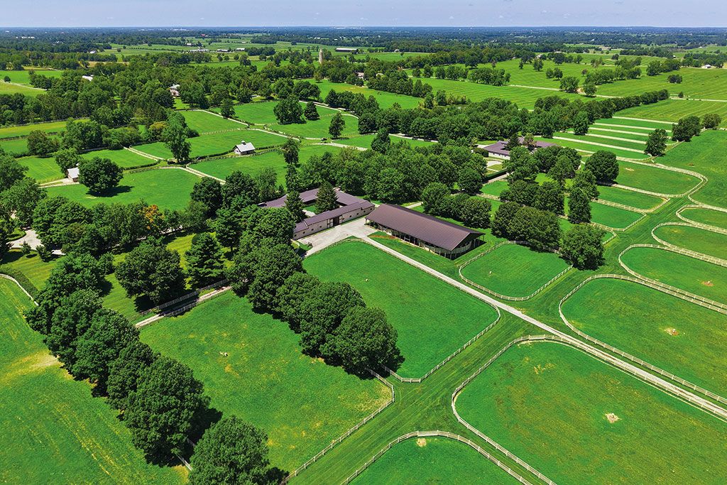 Houses for sale with stables: Castleton, Lexington, Kentucky, USA