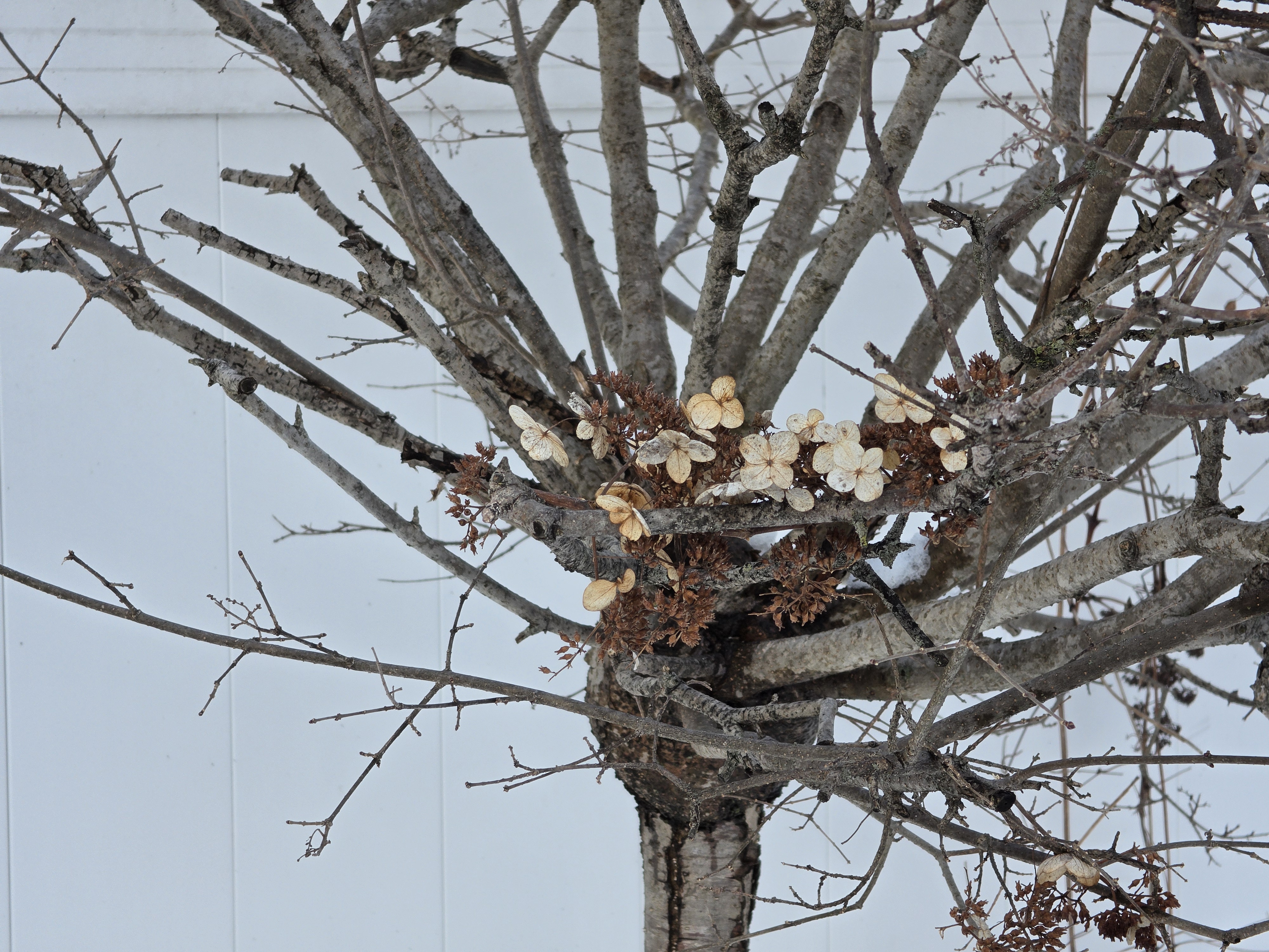 Samsung Galaxy S26 Ultra