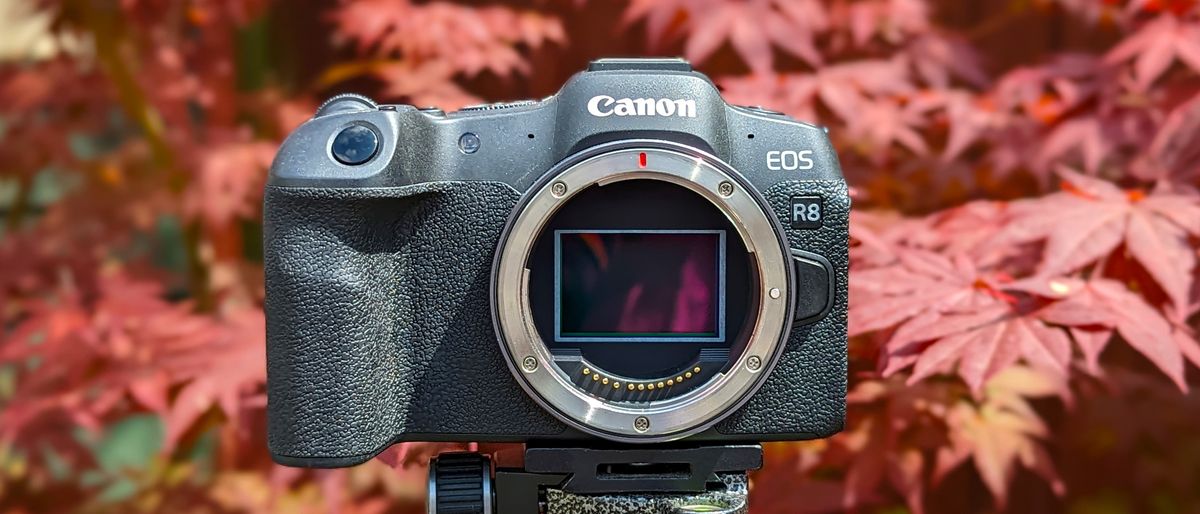 The Canon EOS R8 atop a tripod without a lens