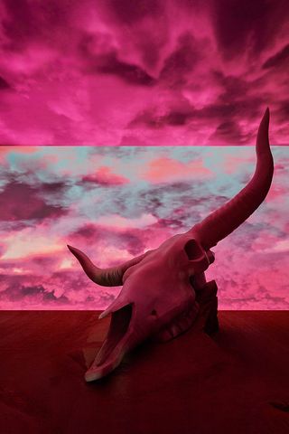 Dior S/S 2022 Texan landscape show set featuring a large animal skull and a red sky, designed by ES Devlin